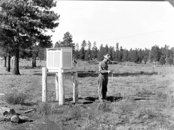 black and white photo of man standing in field